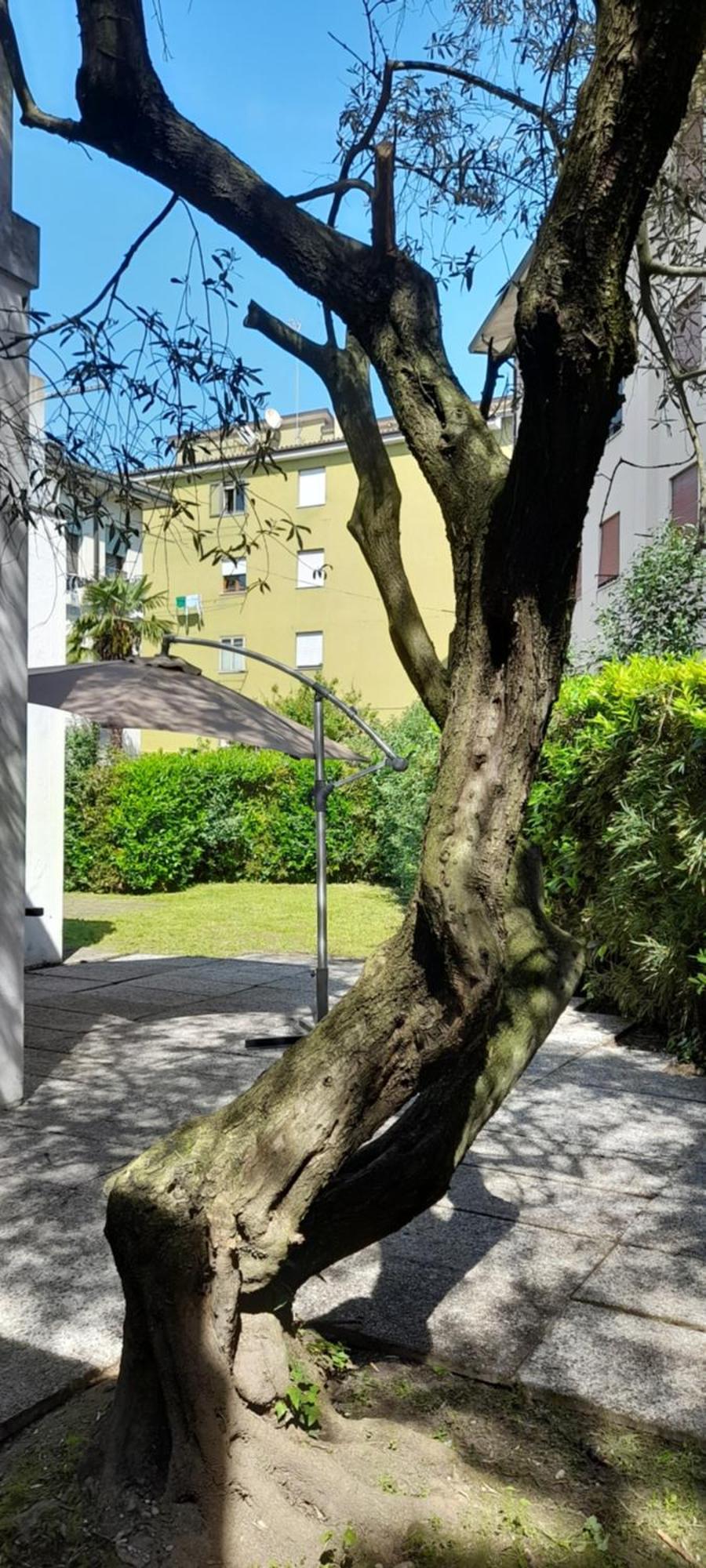 Villa Andrea 梅斯特雷 外观 照片